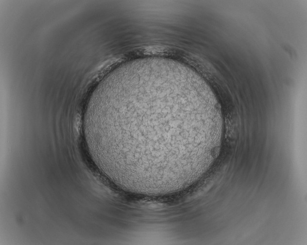X0000114500648200911091110