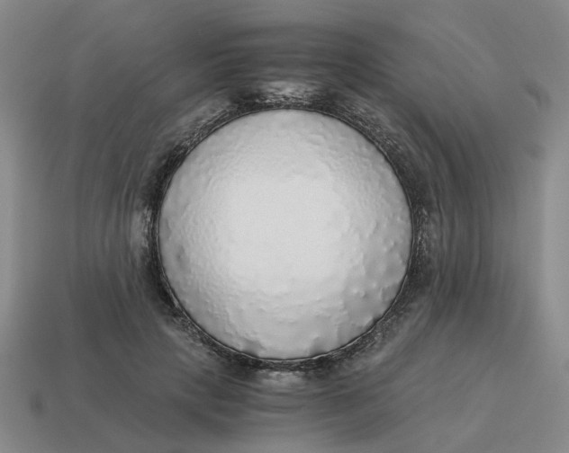 X0000114500649200911091110