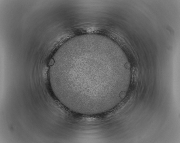 X0000114500650200911091110
