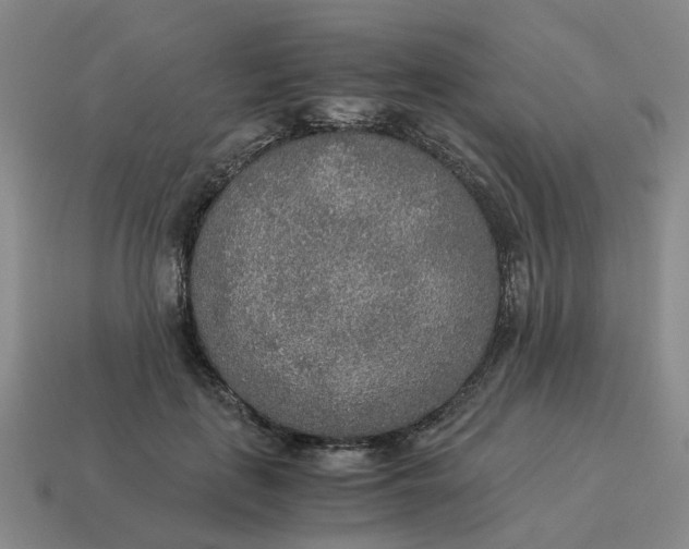 X0000114500651200911091110