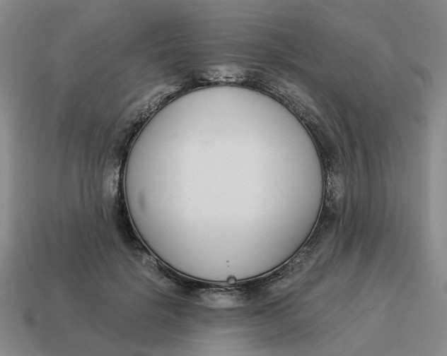 X0000114500652200911091110