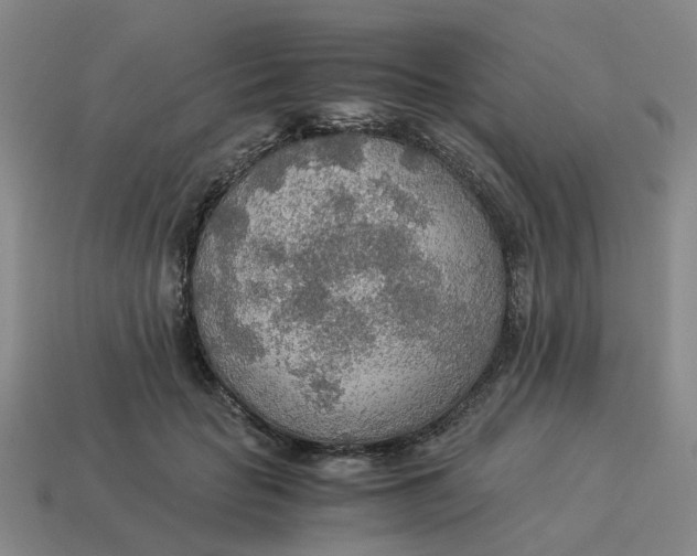 X0000114500653200911091110