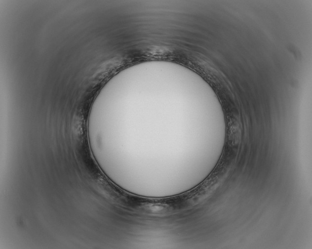 X0000114500654200911091110