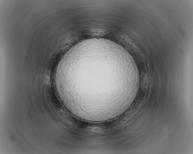 X0000114500655200911091110