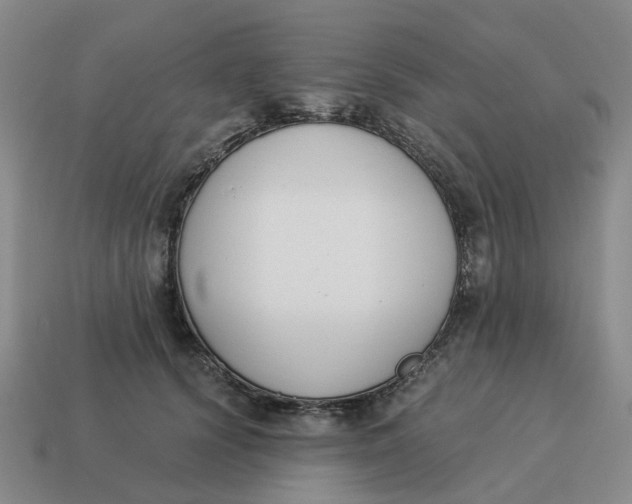 X0000114500656200911091110
