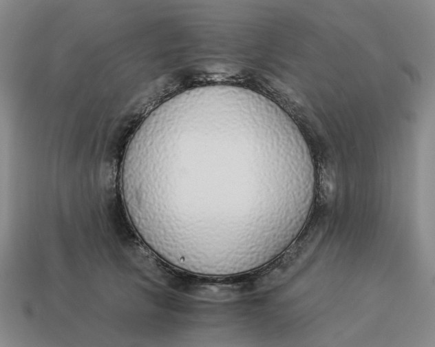 X0000114500657200911091110