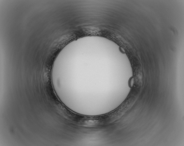 X0000114500658200911091110