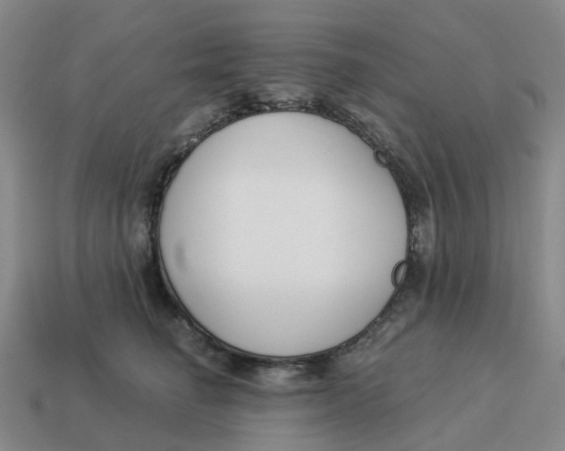 X0000114500662200911091110
