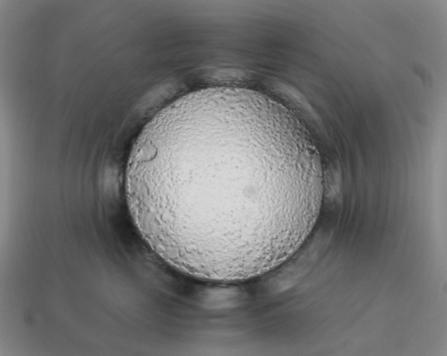 X0000114500669200911091111