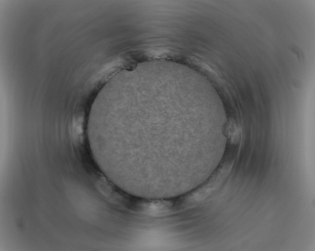 X0000114500670200911091111