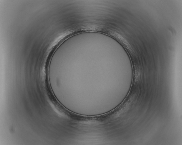 X0000114500674200911091110