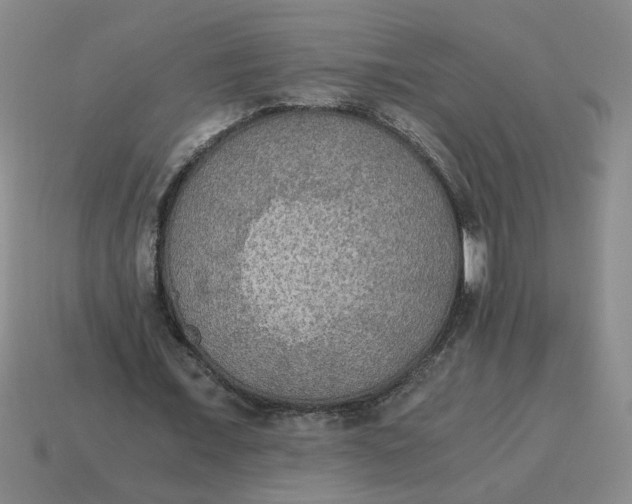 X0000114500675200911091110