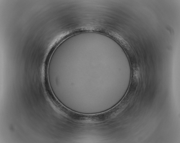 X0000114500678200911091110