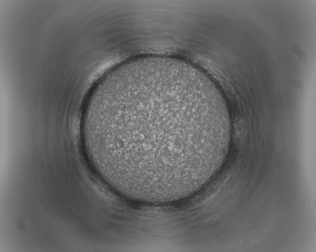 X0000114500679200911091110