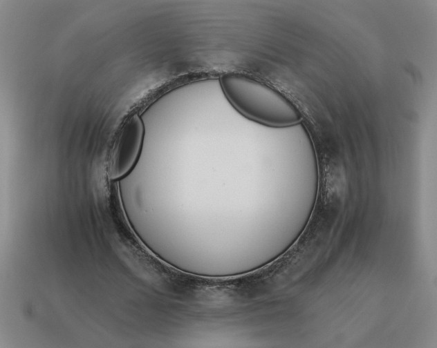 X0000114500680200911091110