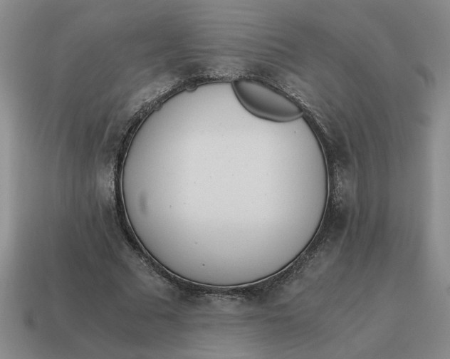 X0000114500681200911091110