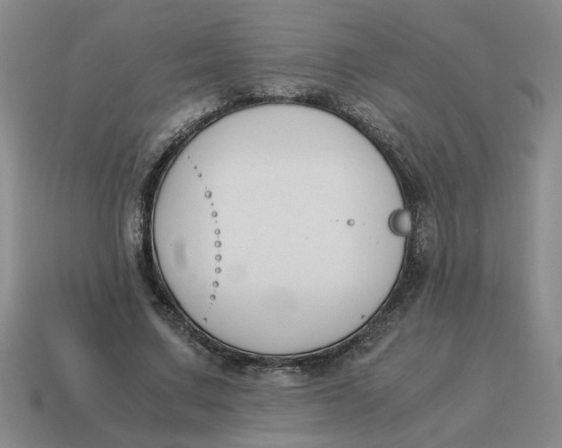 X0000114500683200911091110
