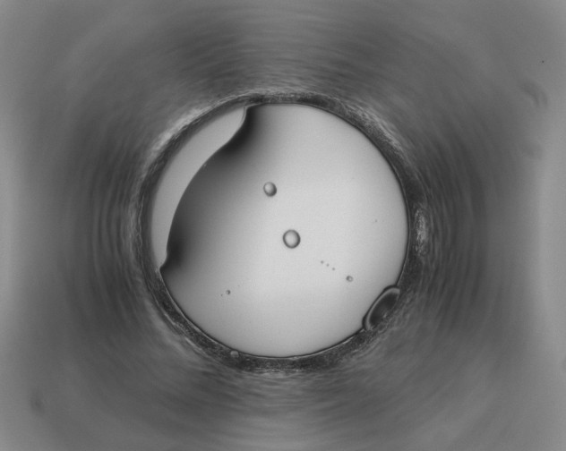 X0000114500684200911091110
