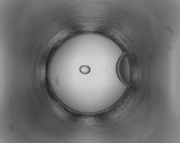 X0000114500685200911091110