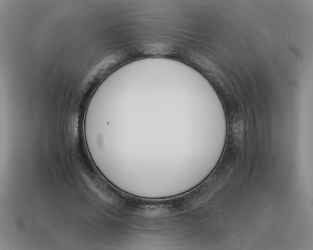 X0000114500686200911091110