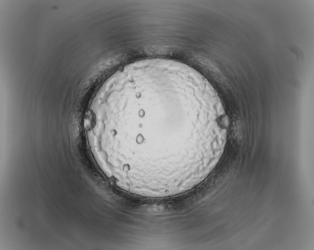X0000114500687200911091110