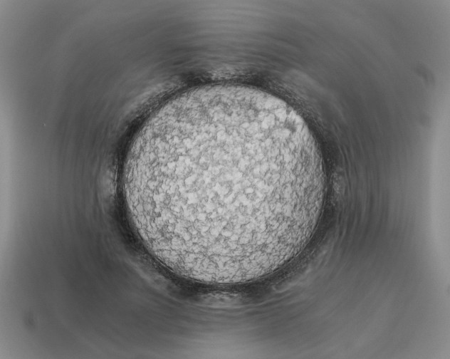 X0000114500691200911091110