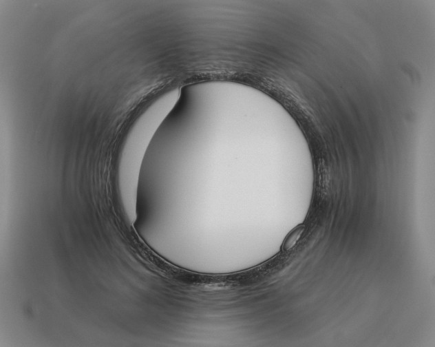 X0000114500692200911091110