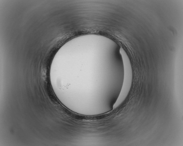 X0000114500693200911091110
