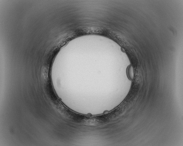 X0000114500695200911091110