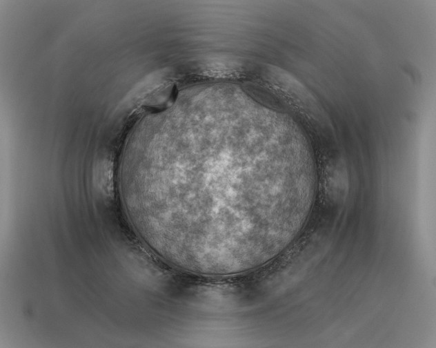 X0000114500696200911091110