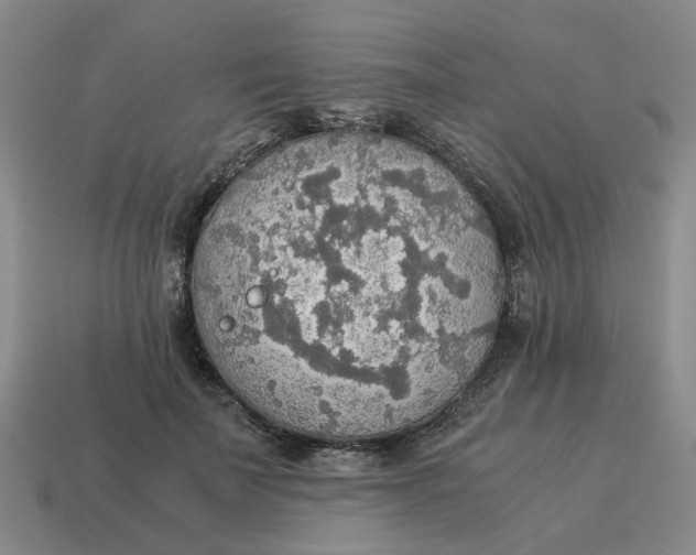 X0000114500699200911091110