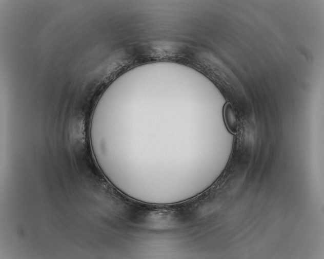 X0000114500700200911091110