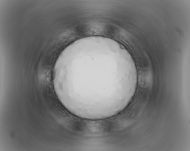 X0000114500701200911091110