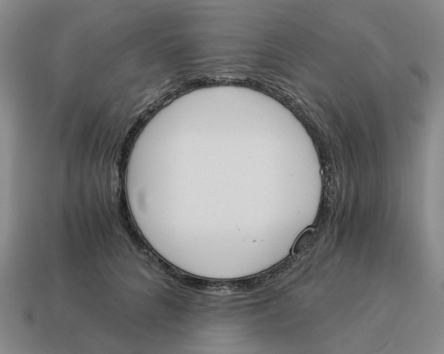 X0000114500704200911091110