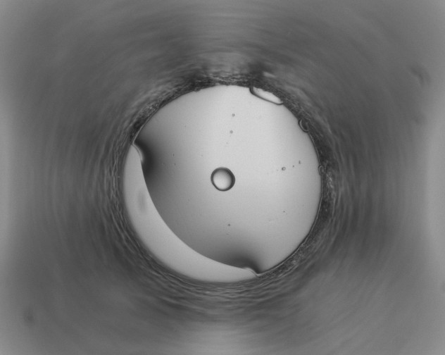X0000114500705200911091110