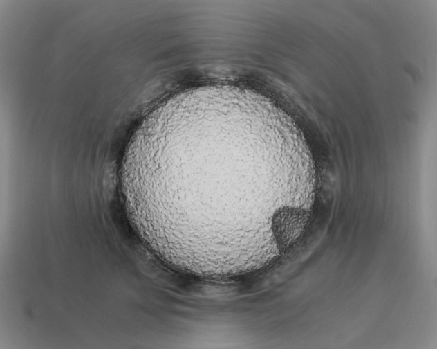 X0000114500707200911091110