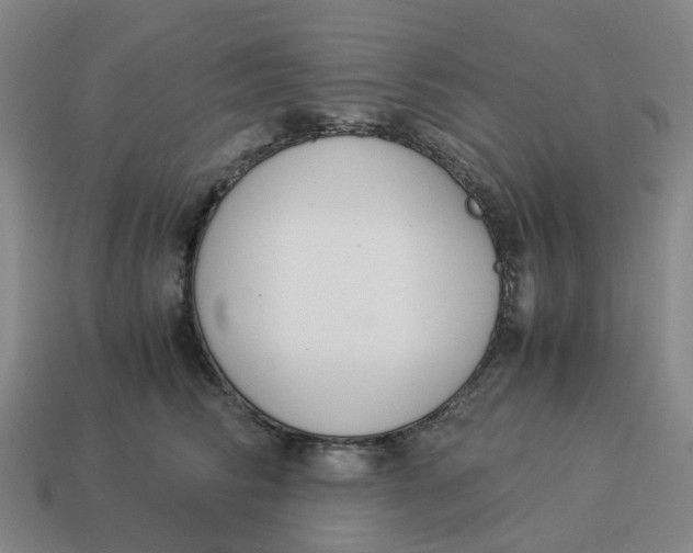 X0000114500710200911091109