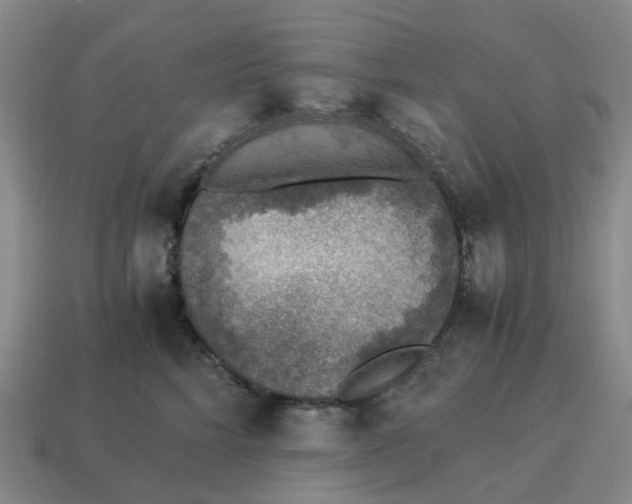 X0000114500712200911091109