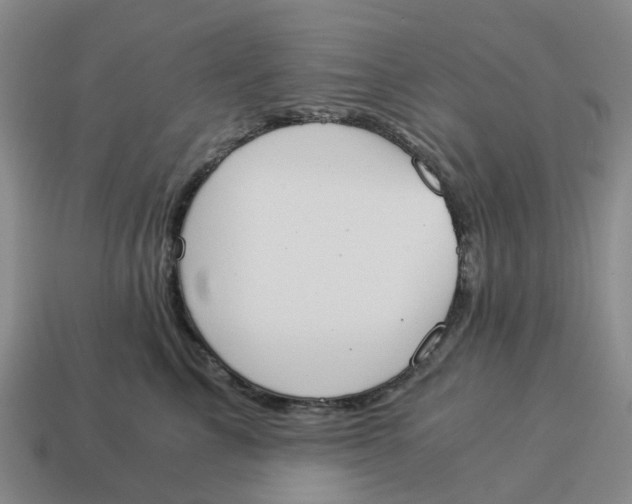 X0000114500713200911091109