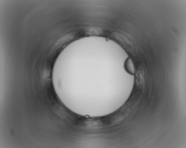 X0000114500714200911091109
