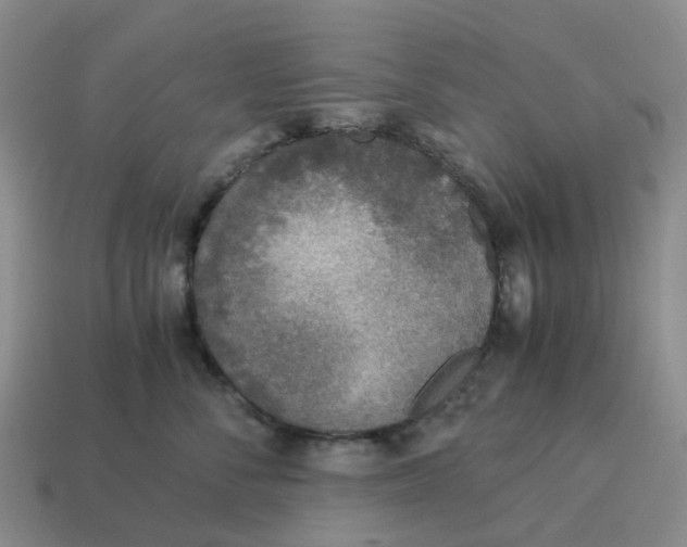 X0000114500716200911091109