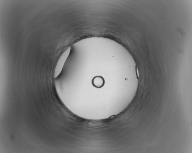X0000114500720200911091109