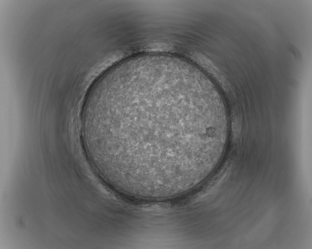 X0000114500721200911091109
