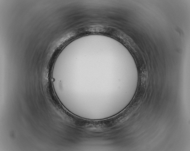 X0000114500727200911091109