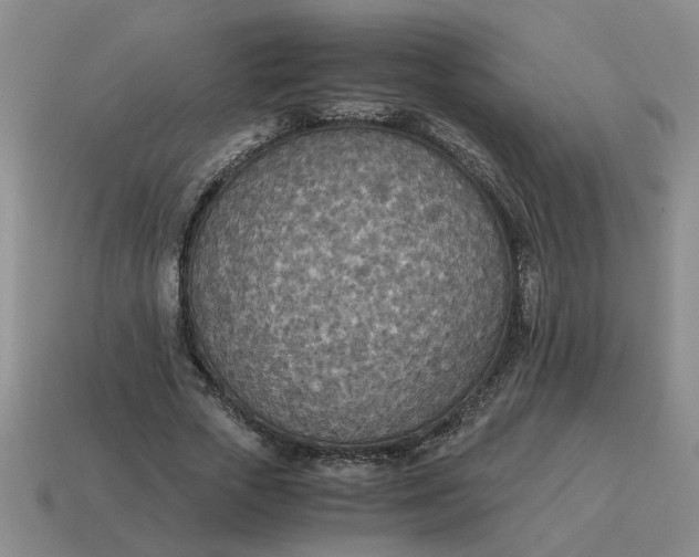 X0000114500729200911091109