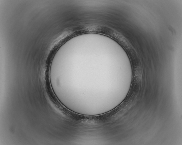 X0000114500730200911091109