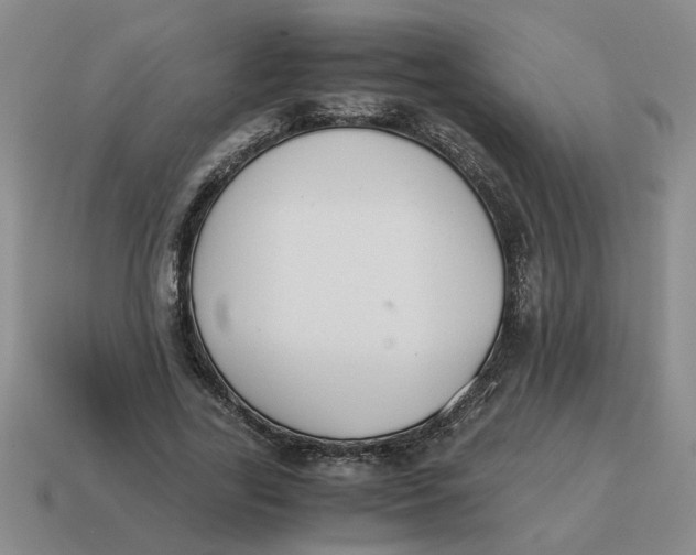 X0000114500731200911091109