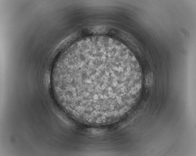 X0000114500733200911091109