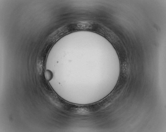 X0000114500741200911091109