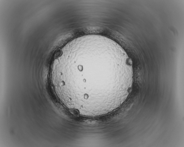 X0000114500742200911091109